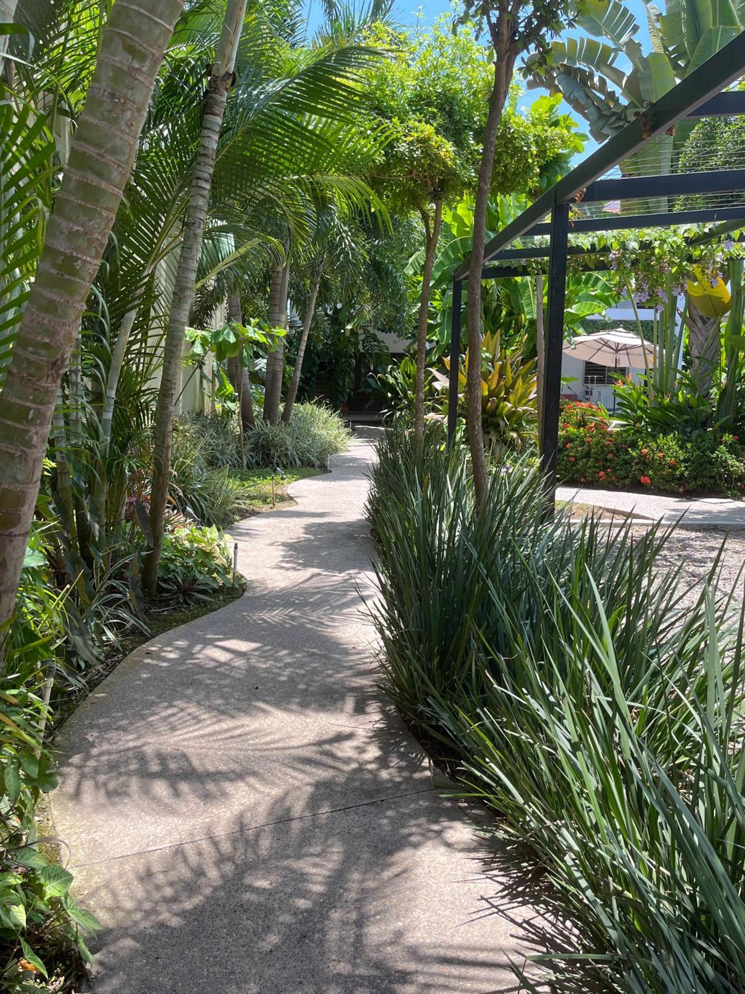 Los Gallos - Departamento Planta Baja Lo de Marcos Exteriér fotografie